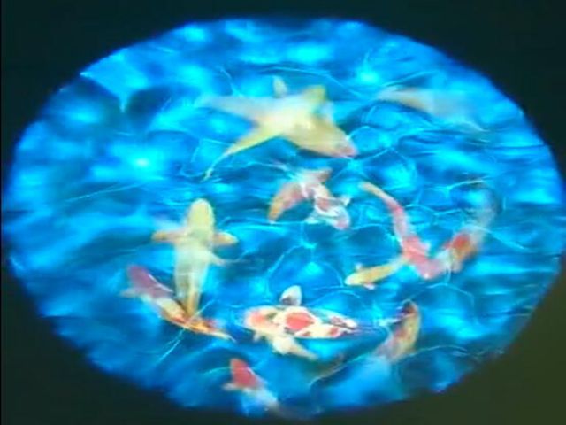 动态水波纹动态鱼投影灯