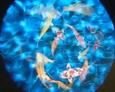 水面鱼动态广告投影灯